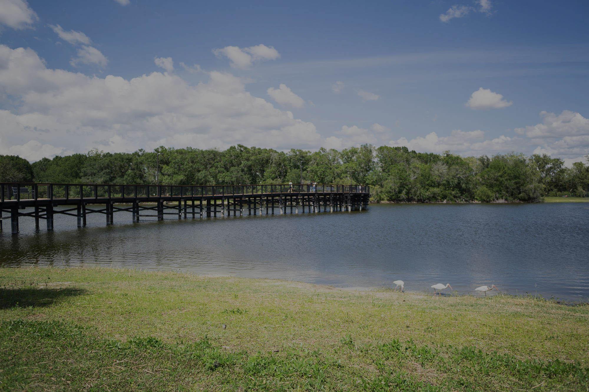 Carrollwood Photo