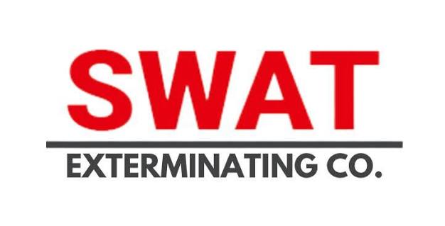 Genie of Clearwater Logo