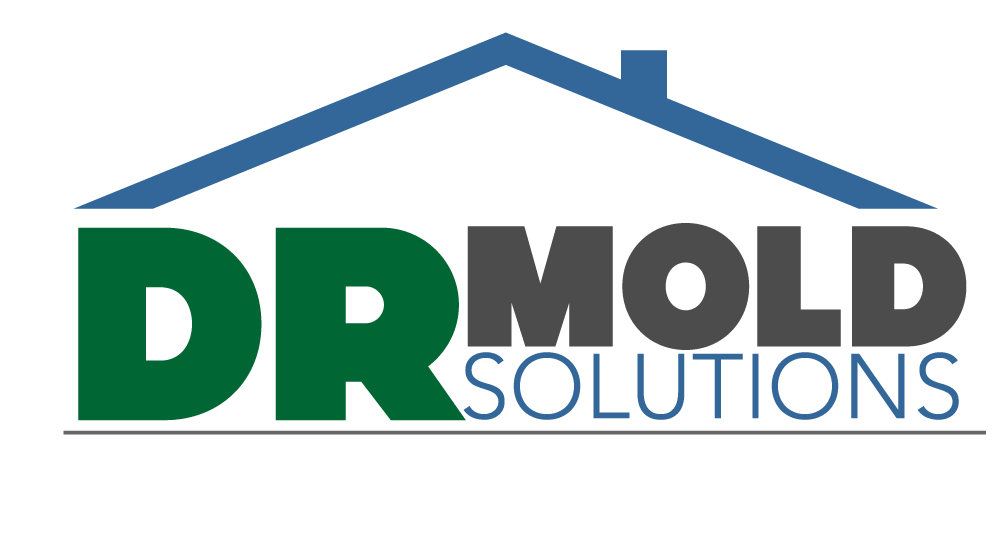 DR Mold Solutions Logo