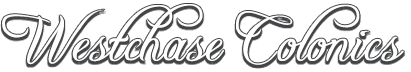 Westchase Colonics Logo