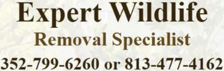 Expert Wildlife & Animal Removal Specialists Logo